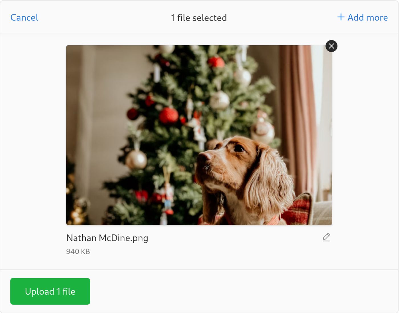 The Uppy Dashboard in single file mode, showing one selected photo of a spaniel sitting in front of a decorated Christmas tree, above an “Upload 1 file” button